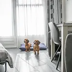 B&B 't Kraaiennest