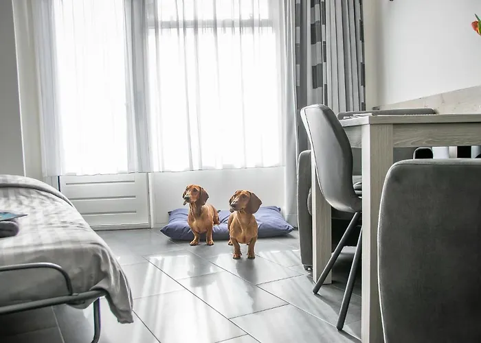 Bed & Breakfast 't Kraaiennest