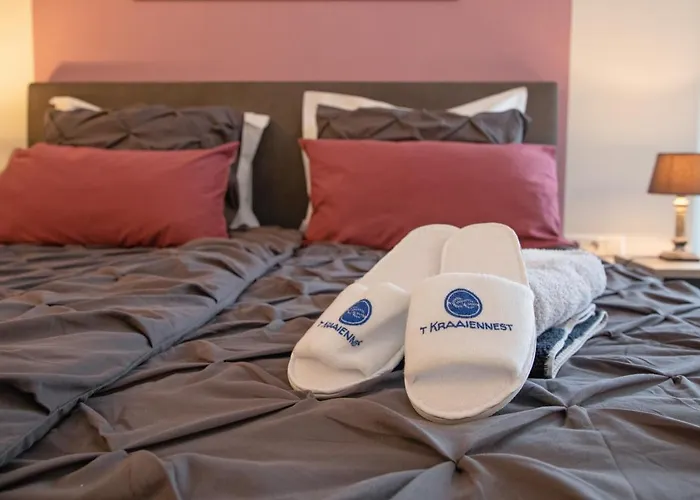 't Kraaiennest 4* De Cocksdorp (Texel)