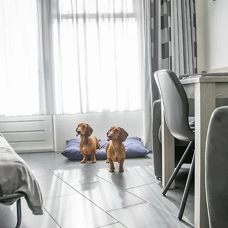 Bed and Breakfast 't Kraaiennest